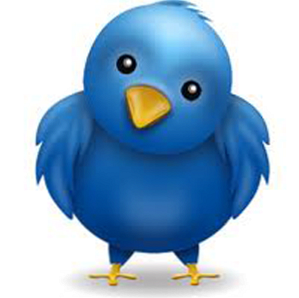 Twitter lanza historias de Twitter [Noticias]